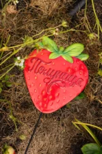 Садова табличка ПОЛУНИЦЯ - Зображення 3