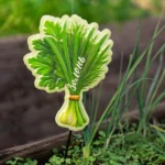 Декоративна табличка садова «Зелень»