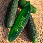 Декоративна табличка садова «Огірок»