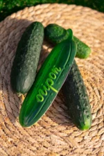 Декоративна табличка садова «Огірок»