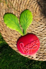 Декоративна табличка садова «Редис»