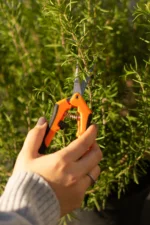 Садові ножиці пласкі (16.5х4.5 см) - Зображення 4