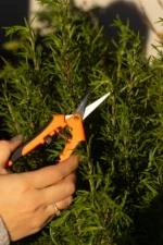 Садові ножиці пласкі (16.5х4.5 см) - Зображення 5