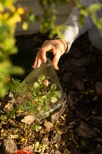 Садовий конусний ковпак для розсади - Зображення 2