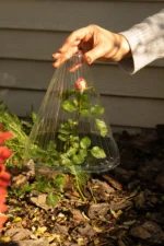 Садовий конусний ковпак для розсади