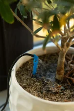 Автоматичне краплинне зрошення для 8 рослин з таймером - Зображення 2