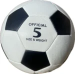 Футбольний м'яч (розмір 5)