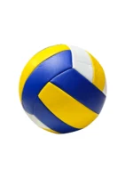Волейбольний м'яч